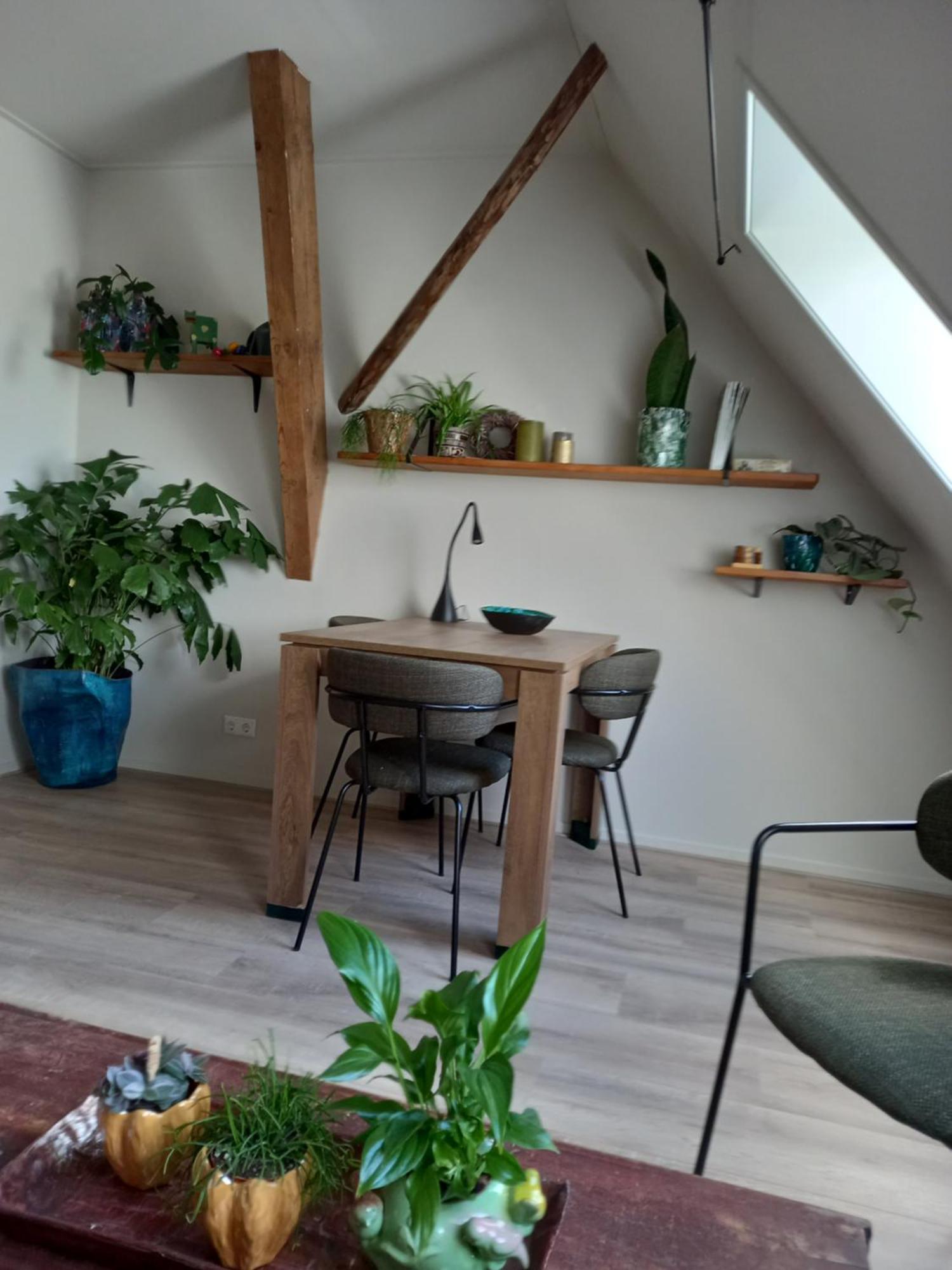 B&B Aan De Fjildwei Rinsumageest Exteriér fotografie