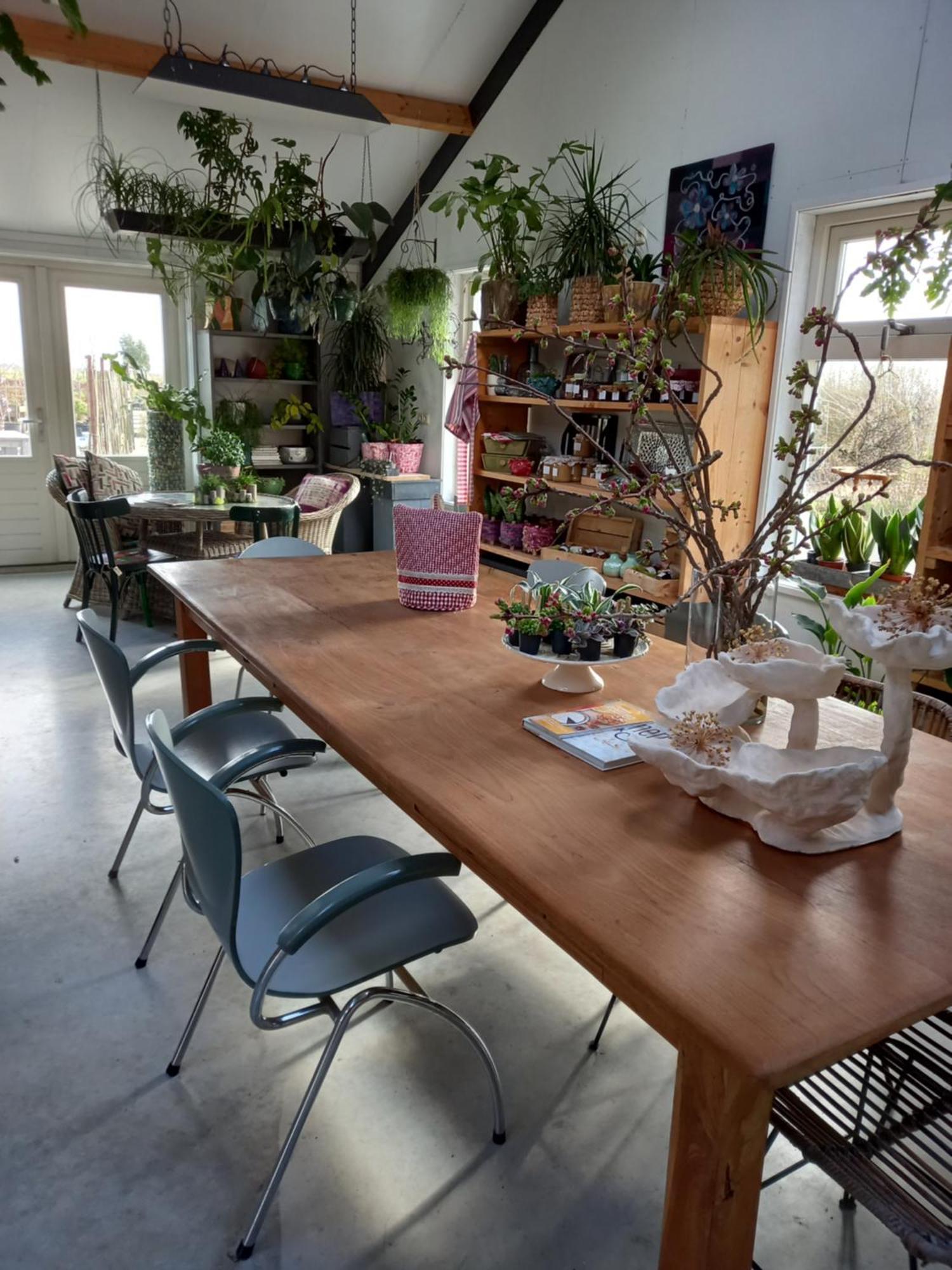 B&B Aan De Fjildwei Rinsumageest Exteriér fotografie