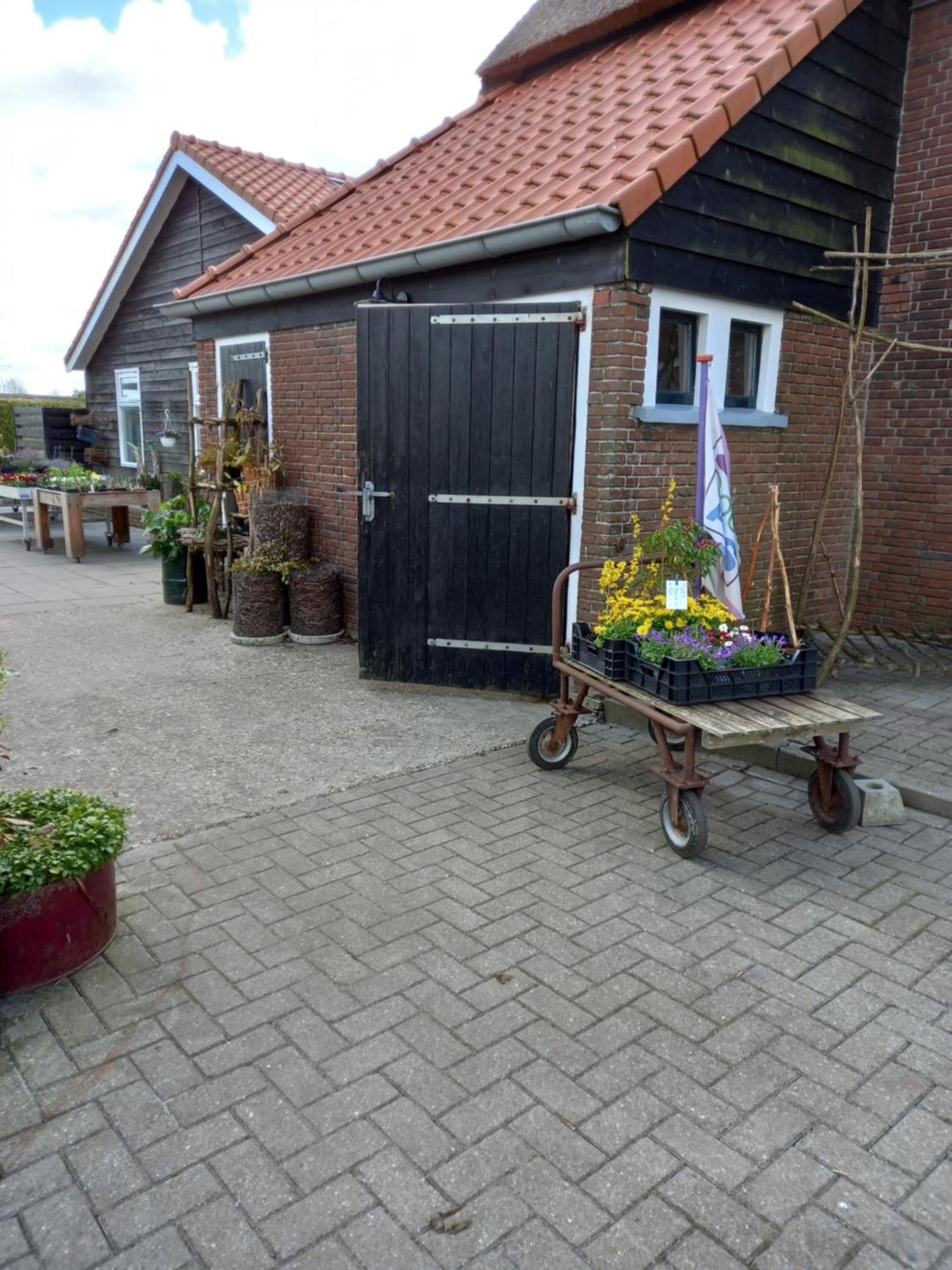 B&B Aan De Fjildwei Rinsumageest Exteriér fotografie